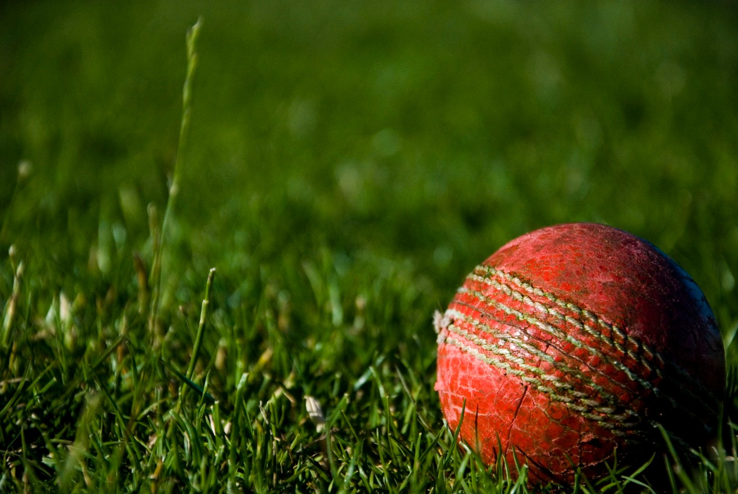 Navigating the World of Online Cricket Betting